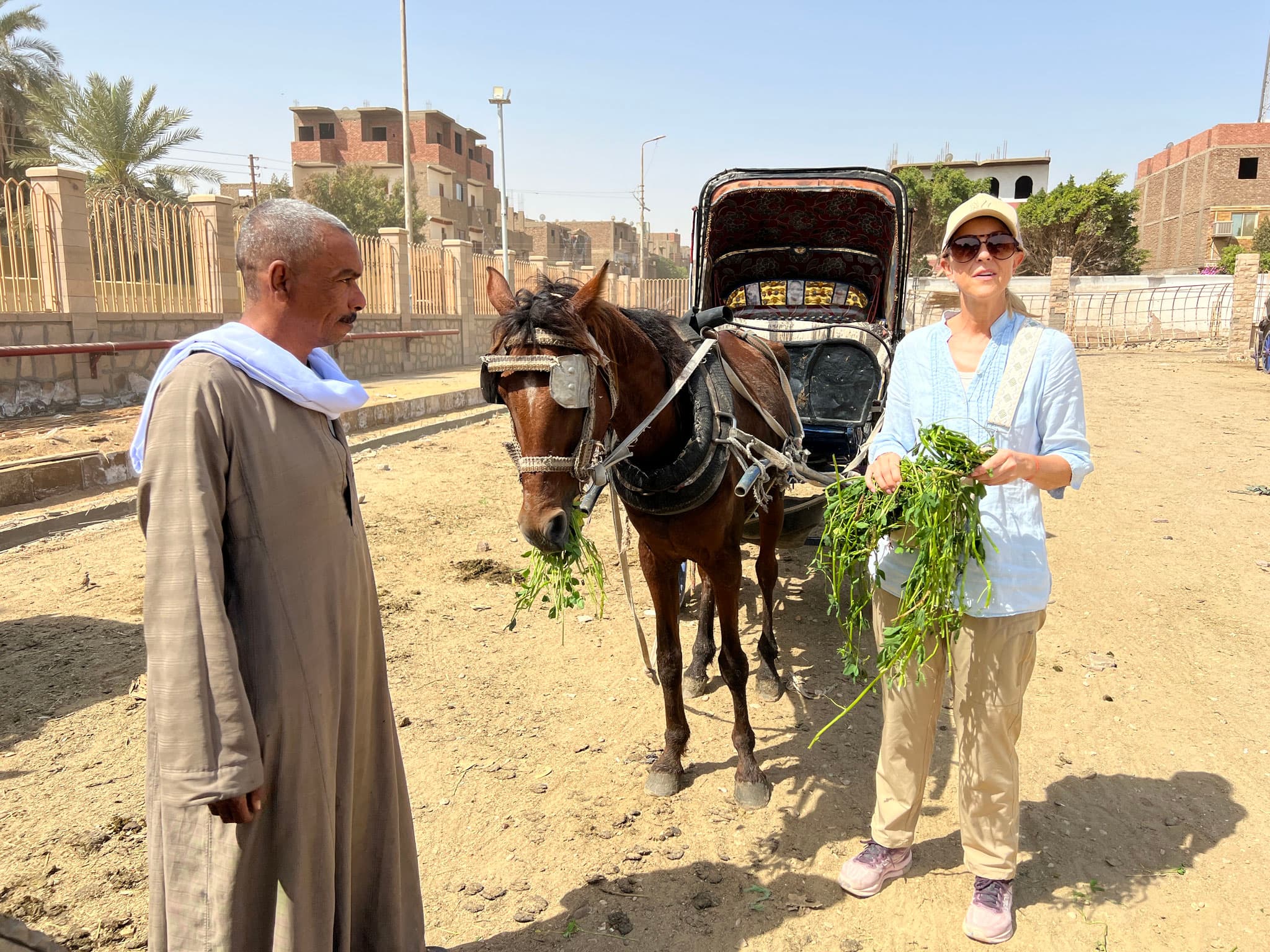 Edfu und Kom Ombo Tempel — Bild 5