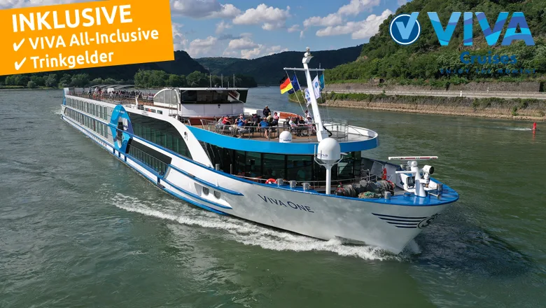 MS VIVA One
